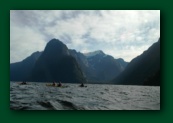 Kajaking on Milford sound